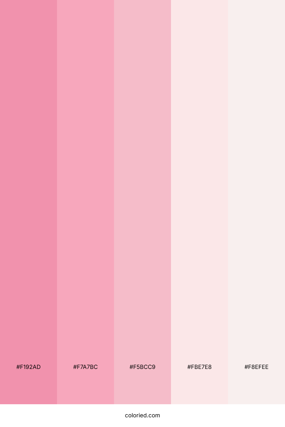 Blush Cloud Whisper Palette