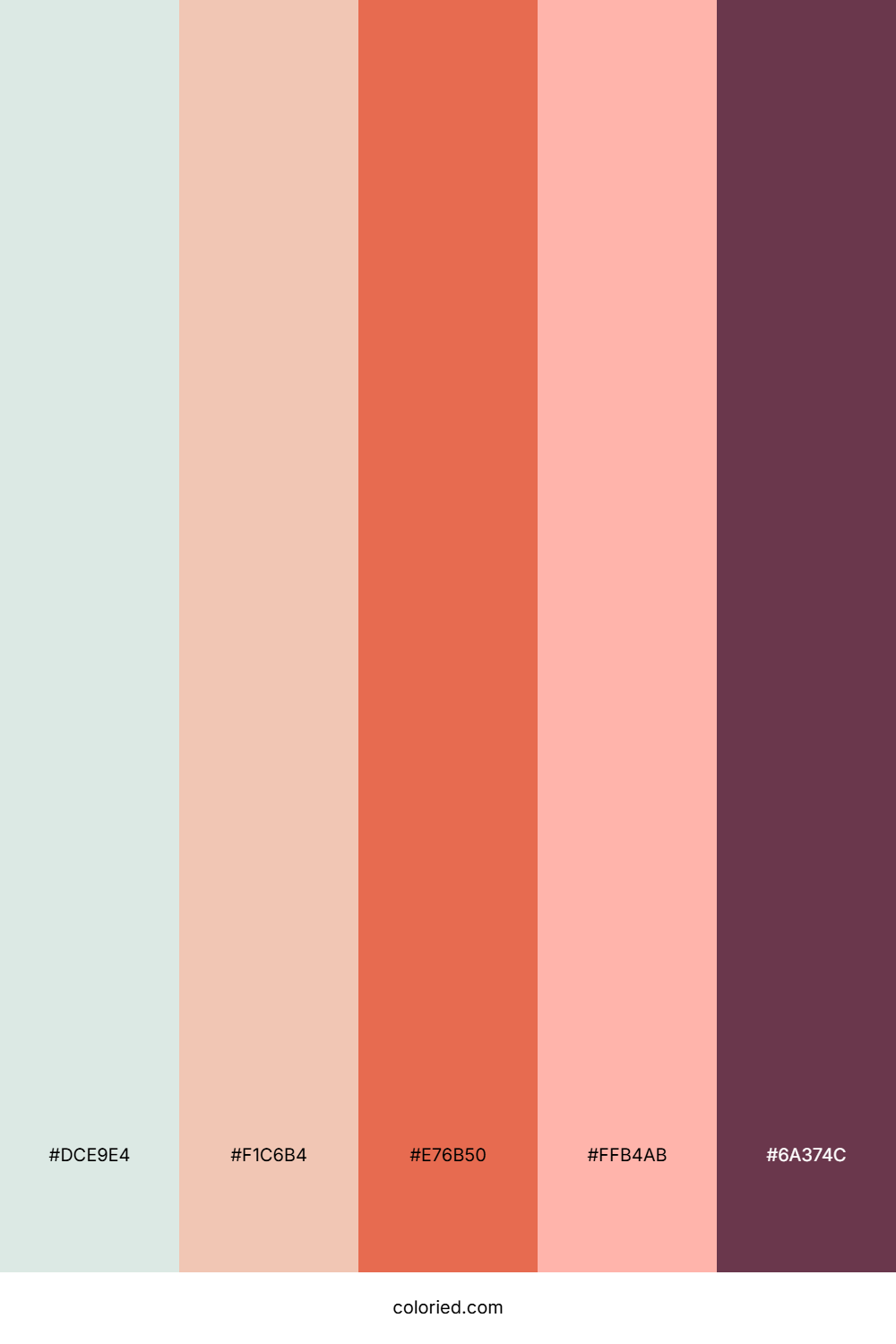 Blush Coral Drift Palette