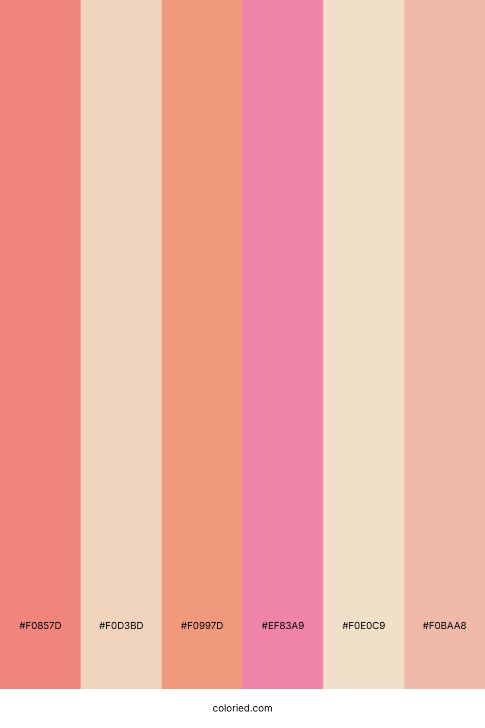 Blush Coral Whisper Palette