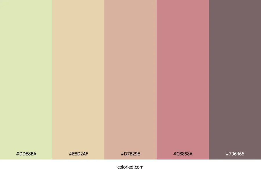 Blush Desert Haze Color Palette