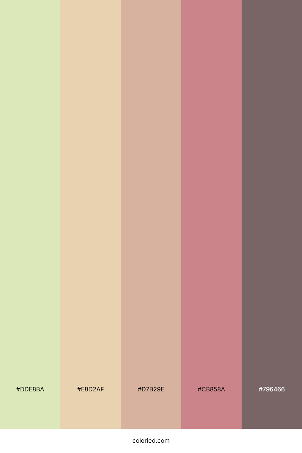 Blush Desert Haze Palette