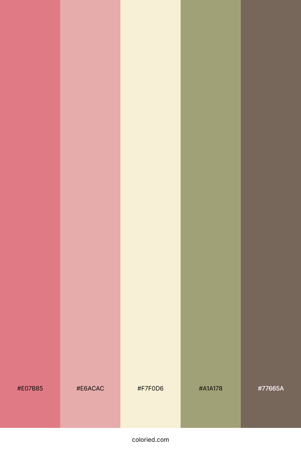 Blush Earth Harmony Color Palette