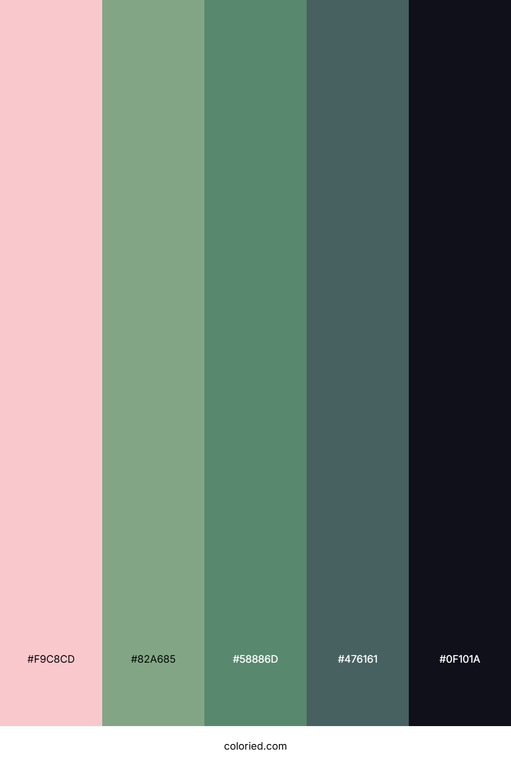 Blush Fern Canopy Palette