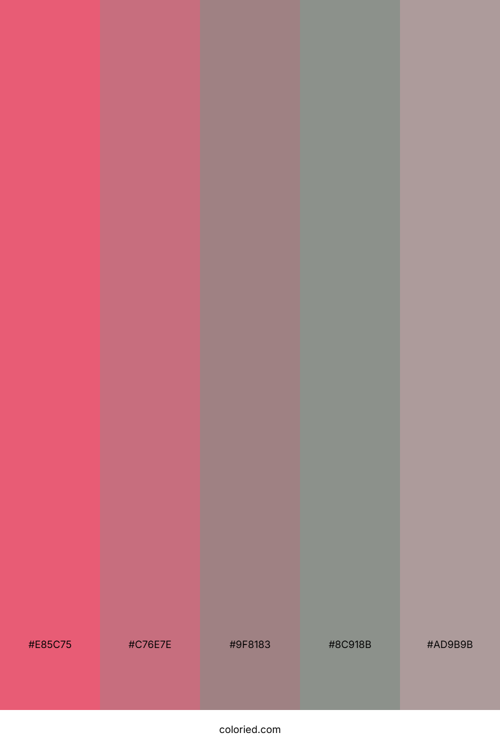 Blush Granite Color Palette