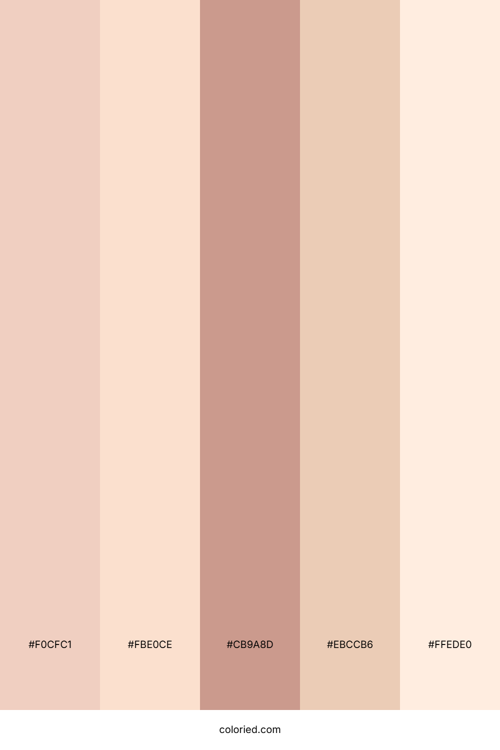 Blush Mocha Beige Color Palette