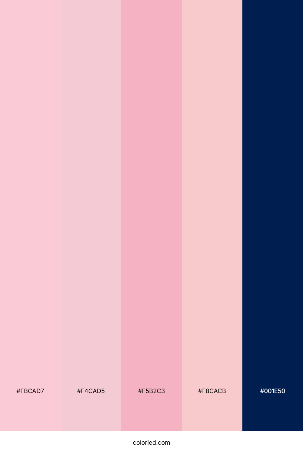 Blush Navy Dream Palette