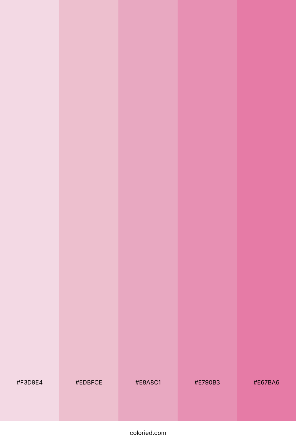 Blush Petal Dreams Color Palette