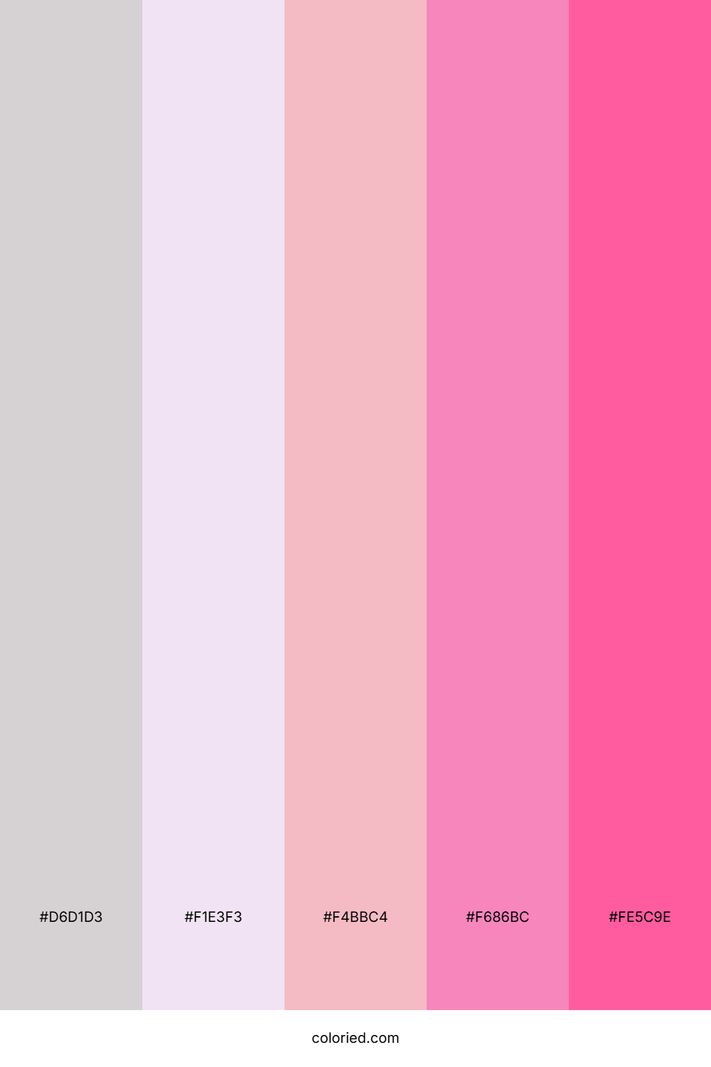 Blush Petal Drift Color Palette