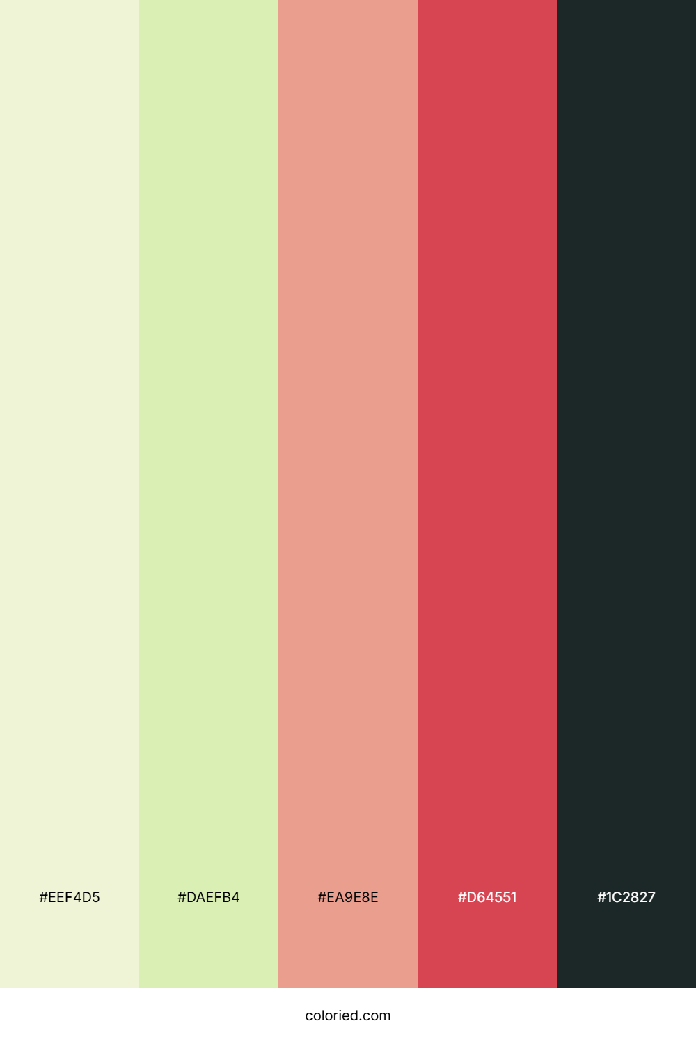 Blush Petal Morning Color Palette