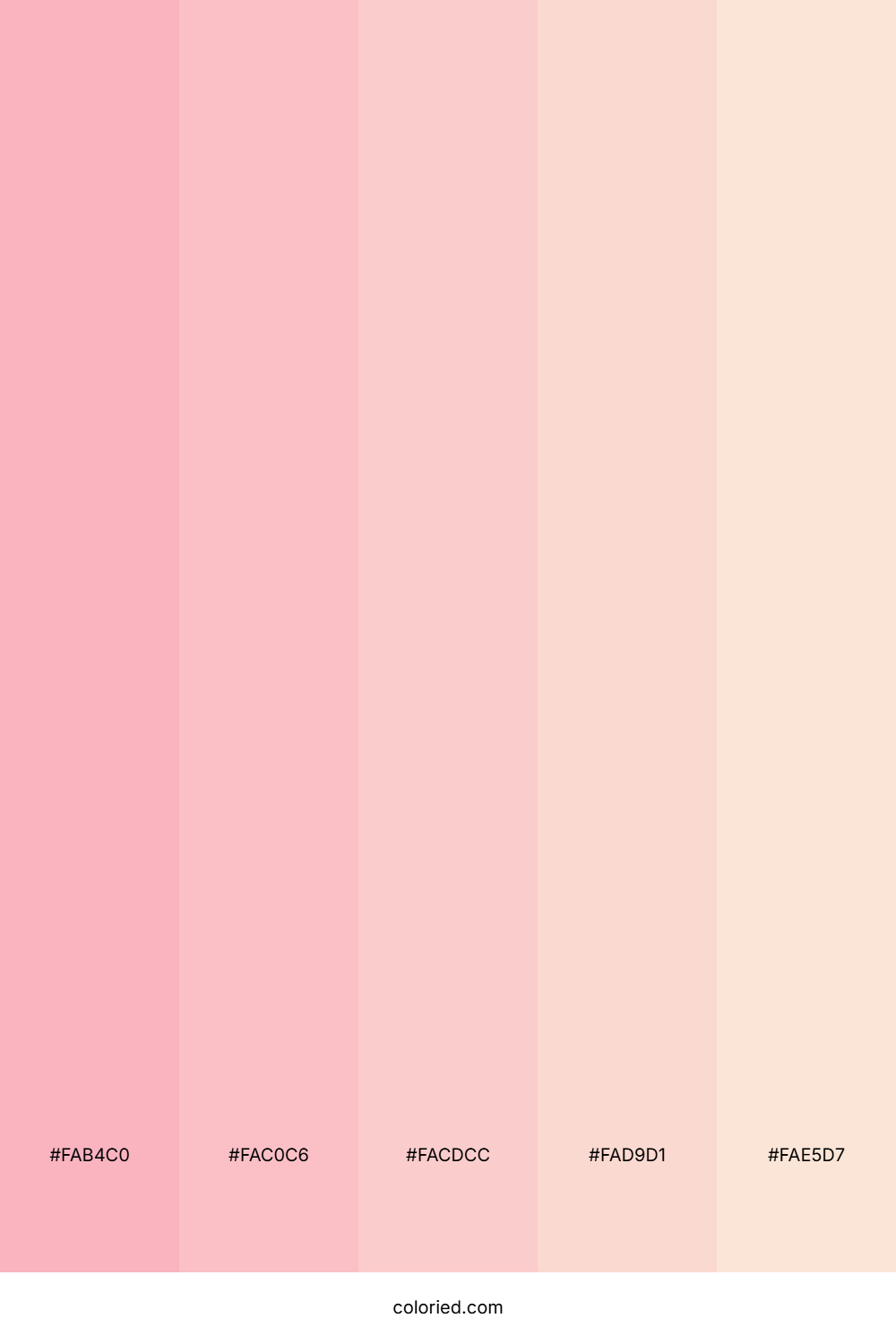 Blush Pink and Champagne Color Palette