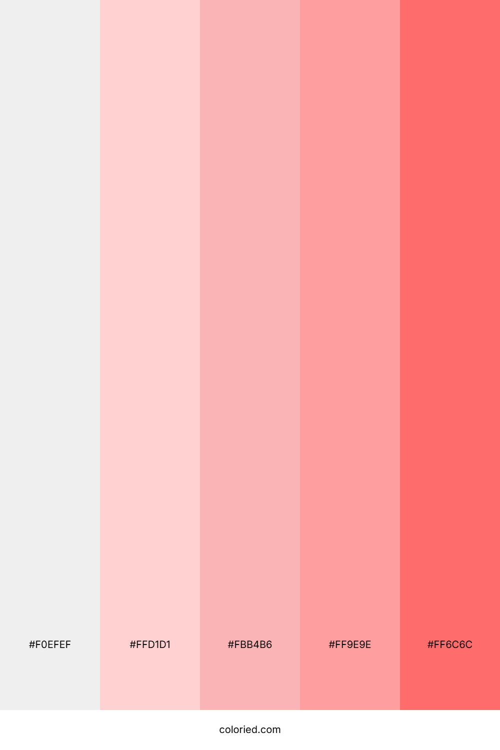 Blush Pink and Coral Color Palette