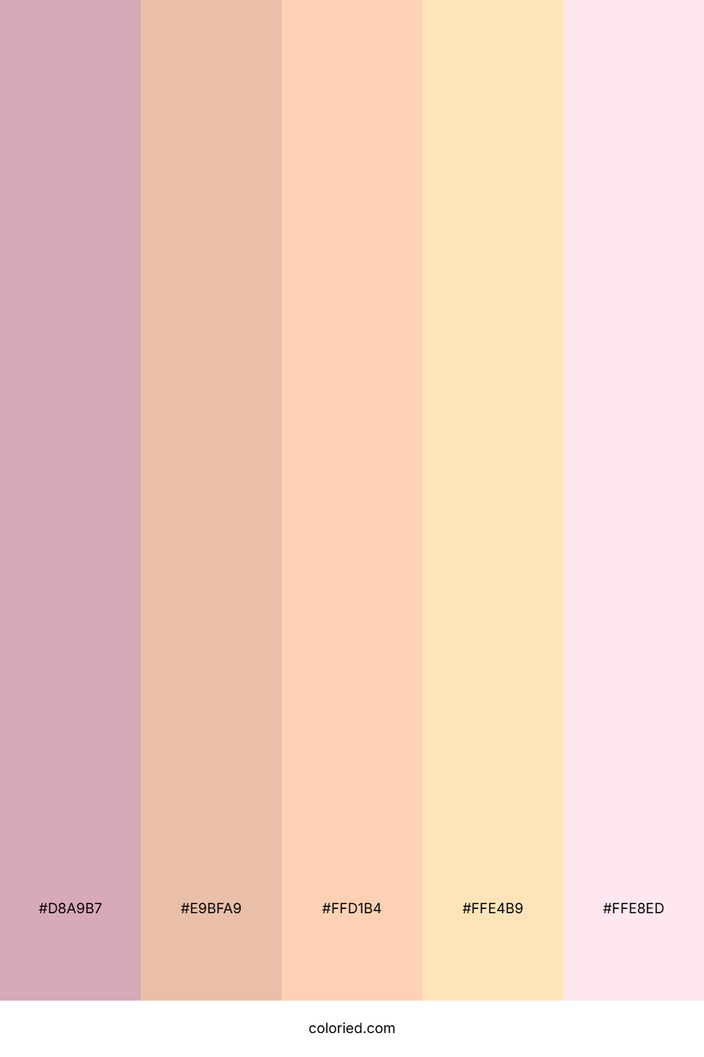 Blush Pink and Cream Color Palette