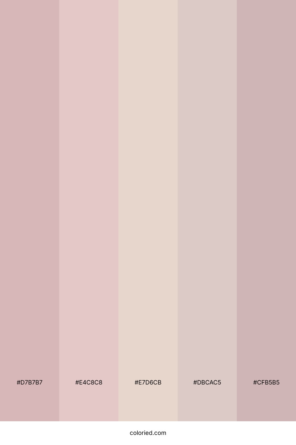 Blush Pink and Dusty Rose Color Palette