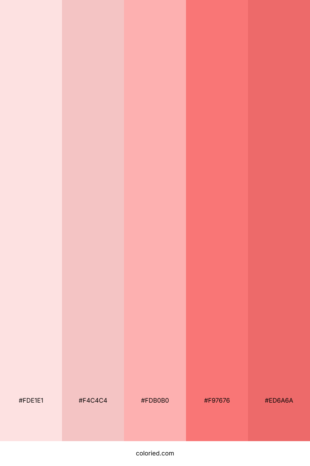 Blush Pink and Soft Red Color Palette