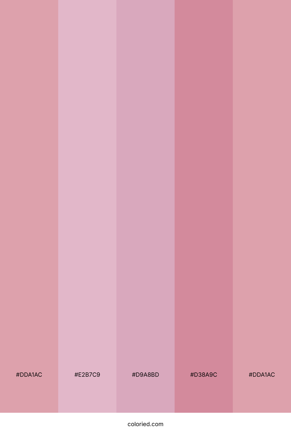 Blush Pink And Soft Rose Color Palette