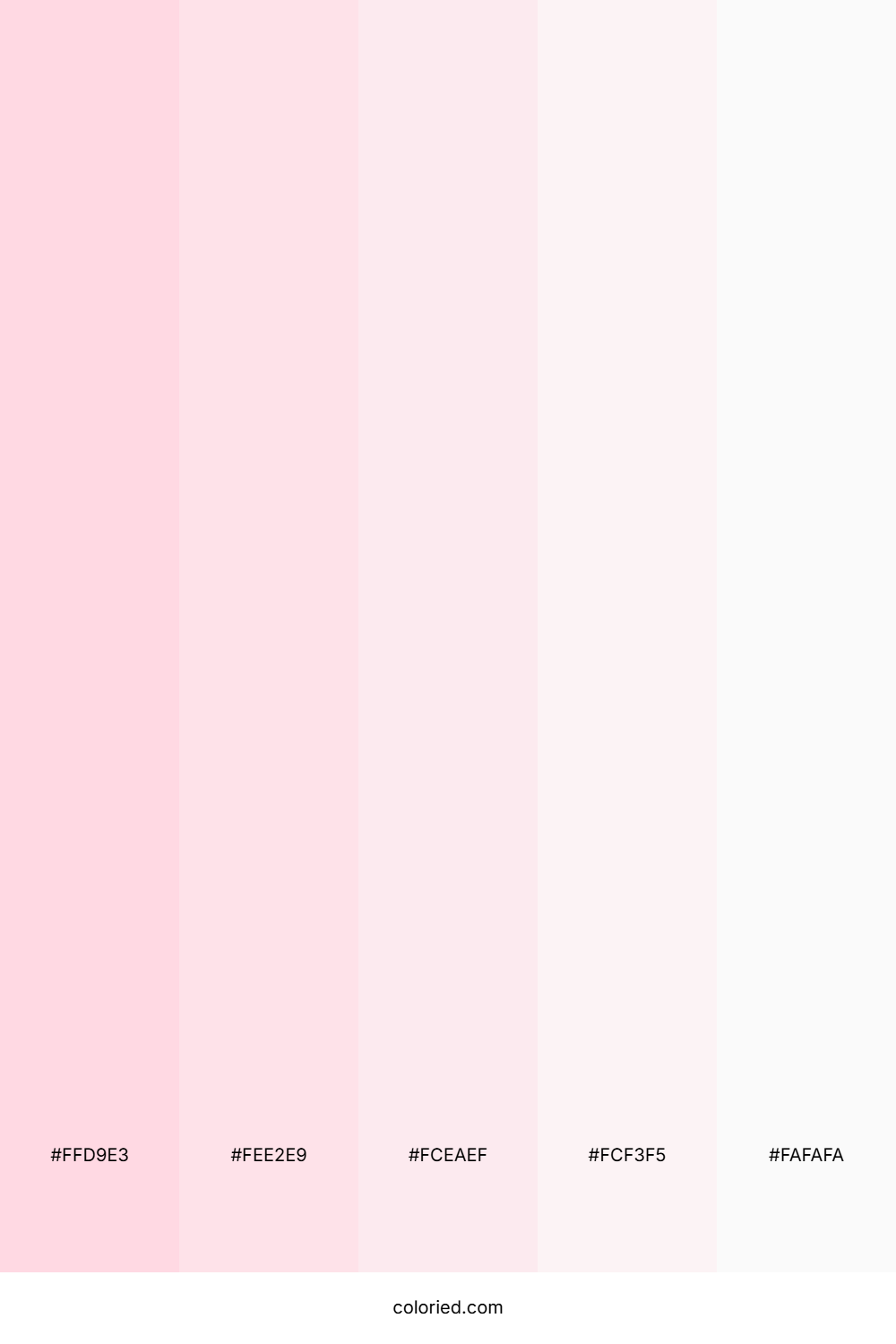 Blush Pink And White Color Palette
