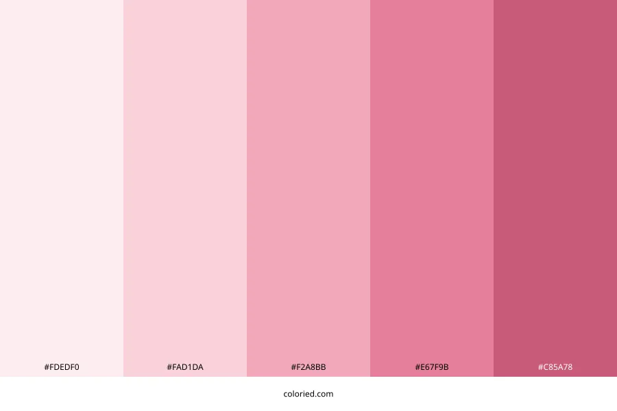 Blush Pink Color Palette