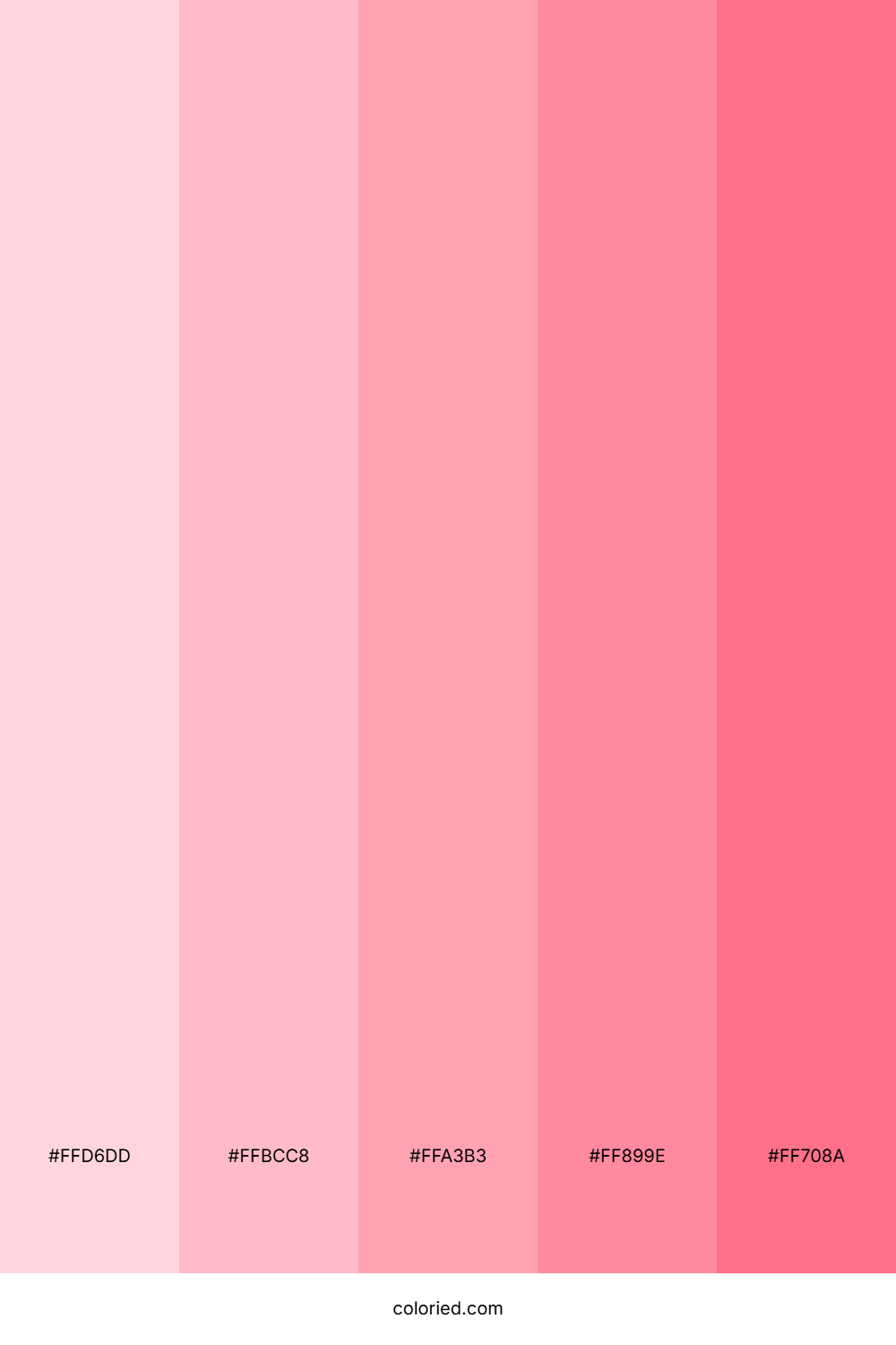Blush Pink Gradient Color Palette