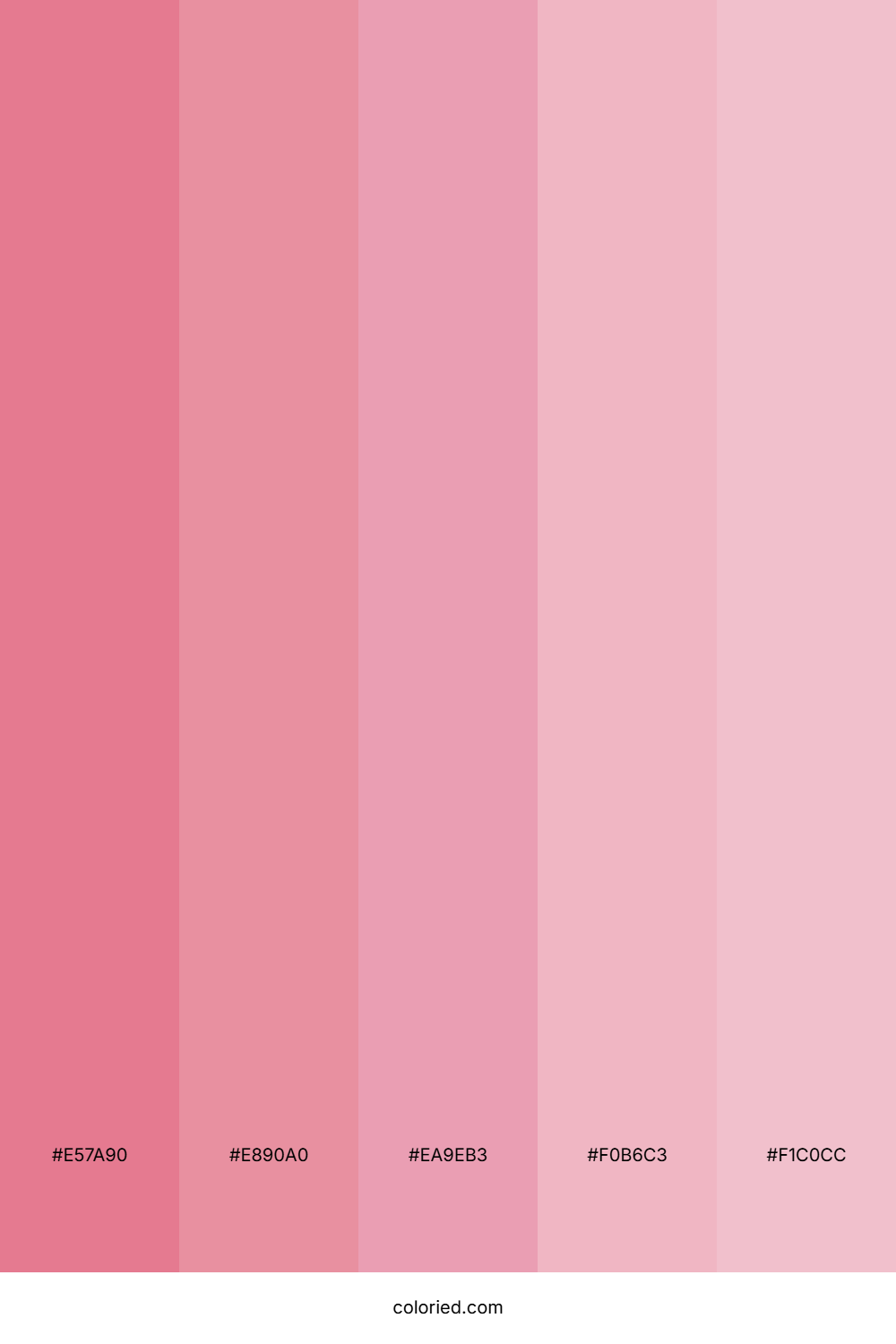 Blush Pink Harmony Color Palette