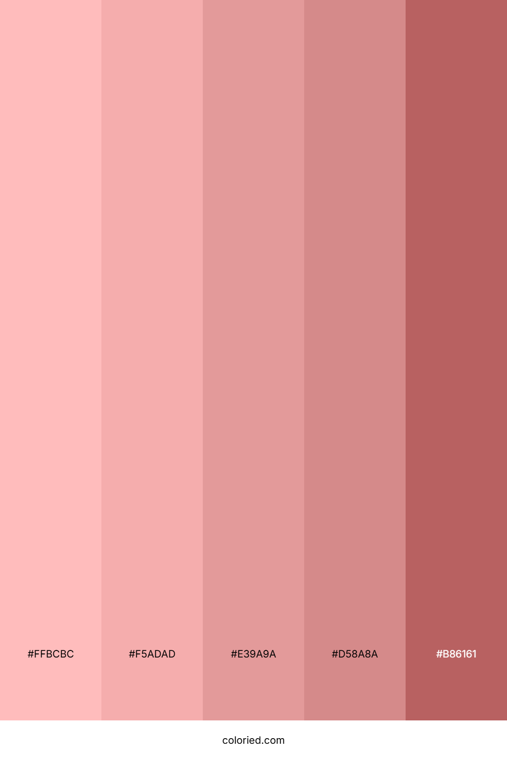 Blush Rose and Pastel Red Color Palette