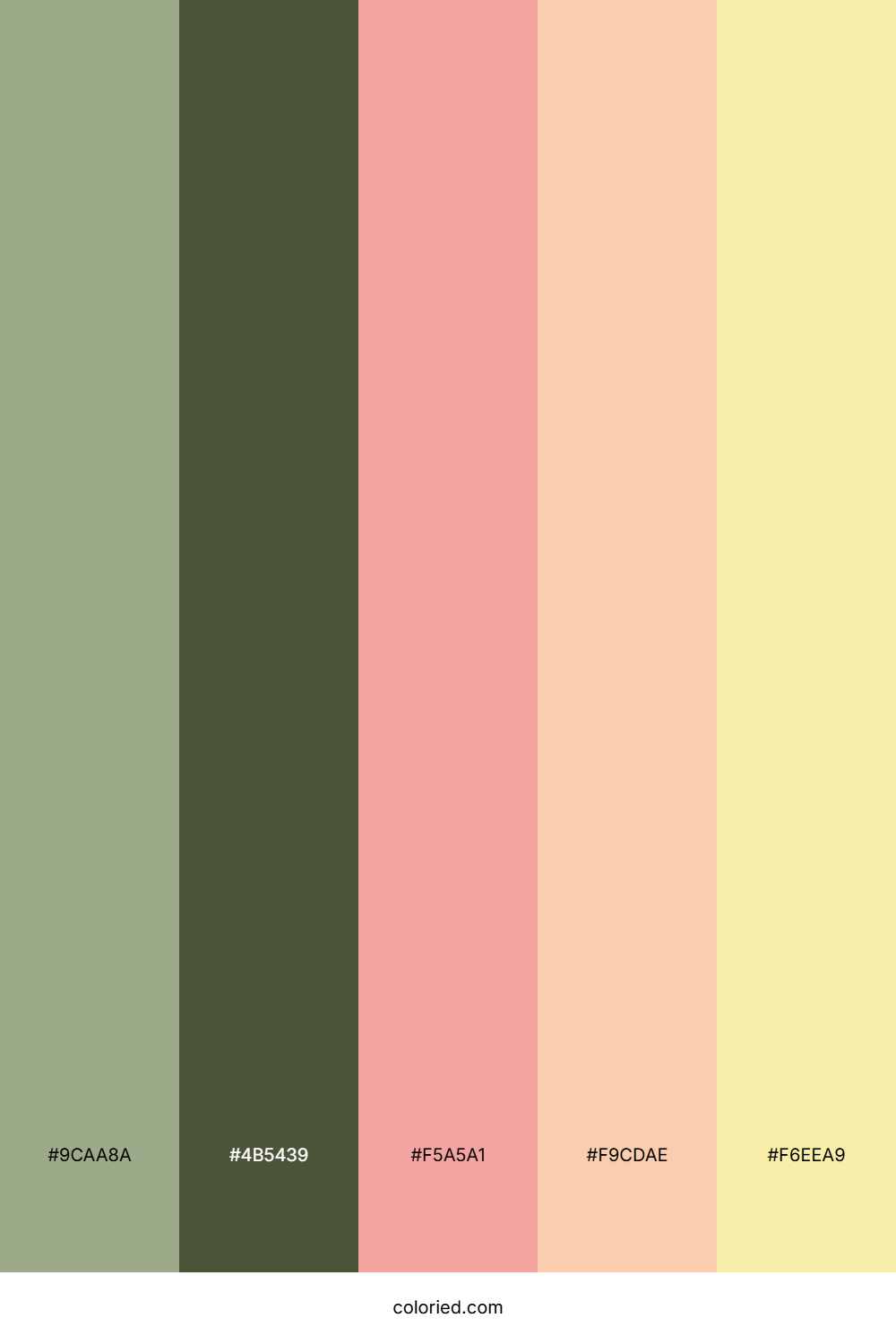 Blushing Olive Grove Color Palette
