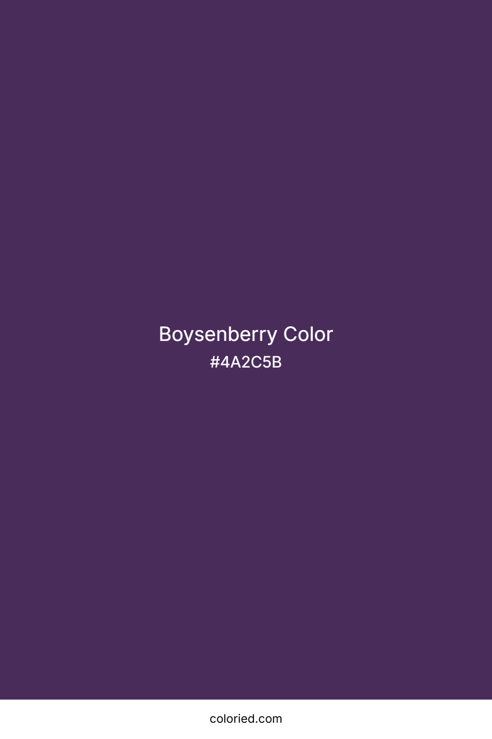 Boysenberry Color
