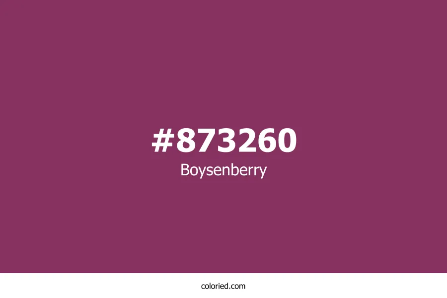 Boysenberry Color