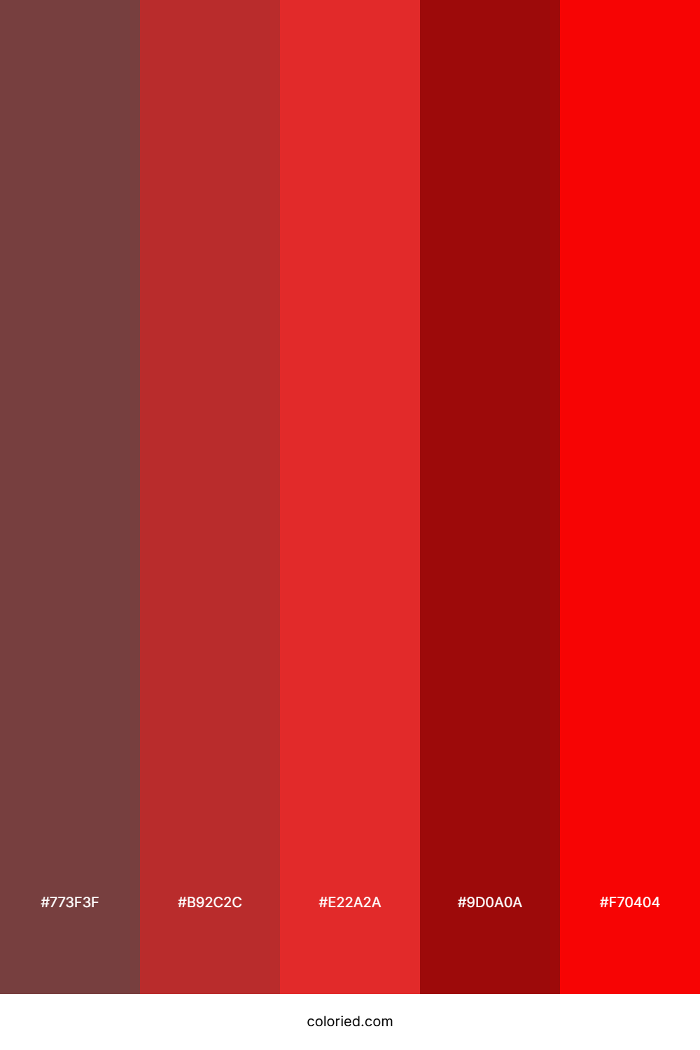 Brick Red and Burgundy Color Palette