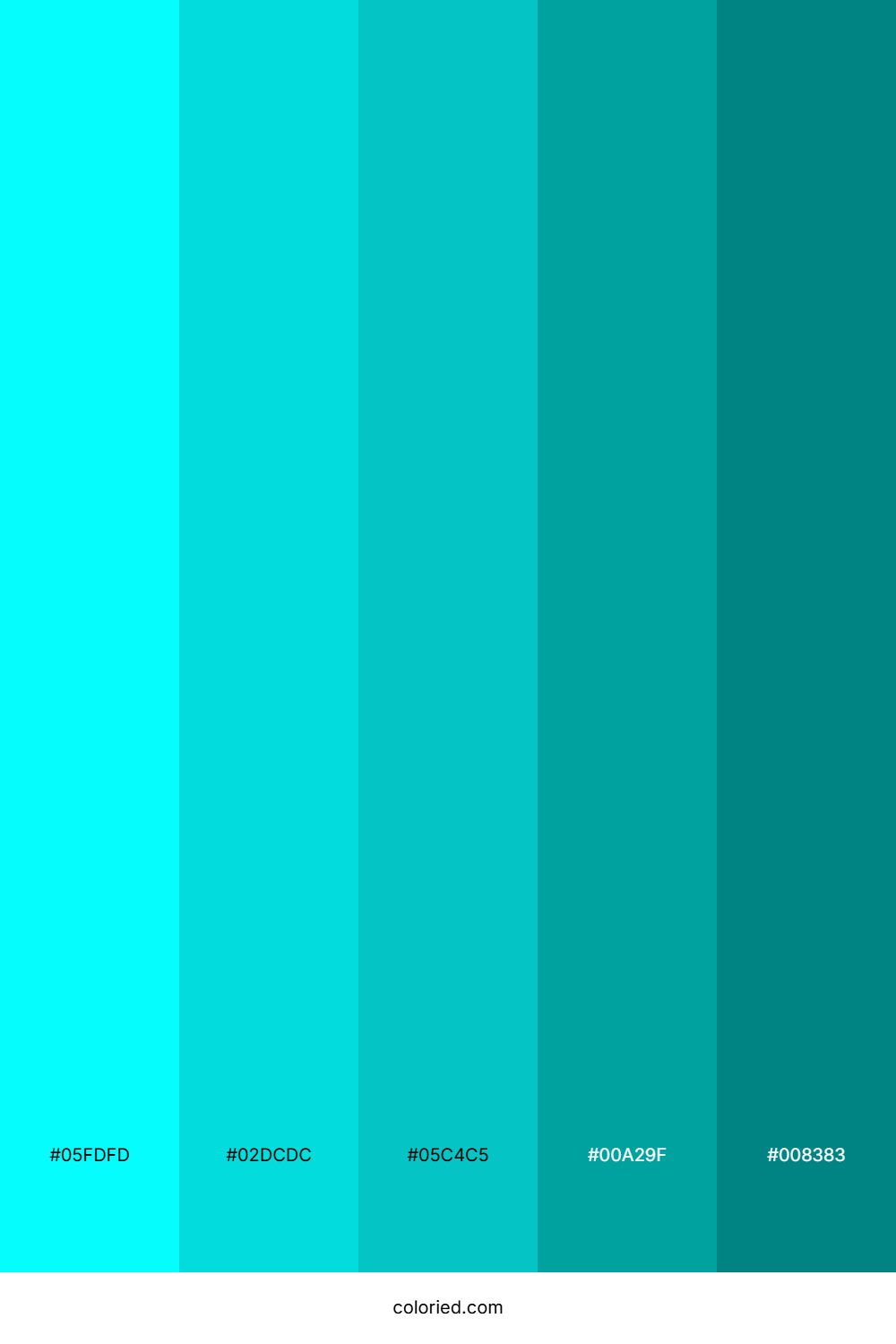 Bright Aqua and Deep Teal Color Palette