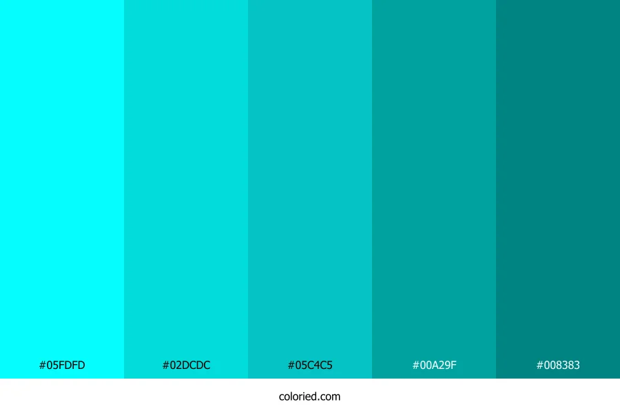 Bright Aqua and Deep Teal Color Palette