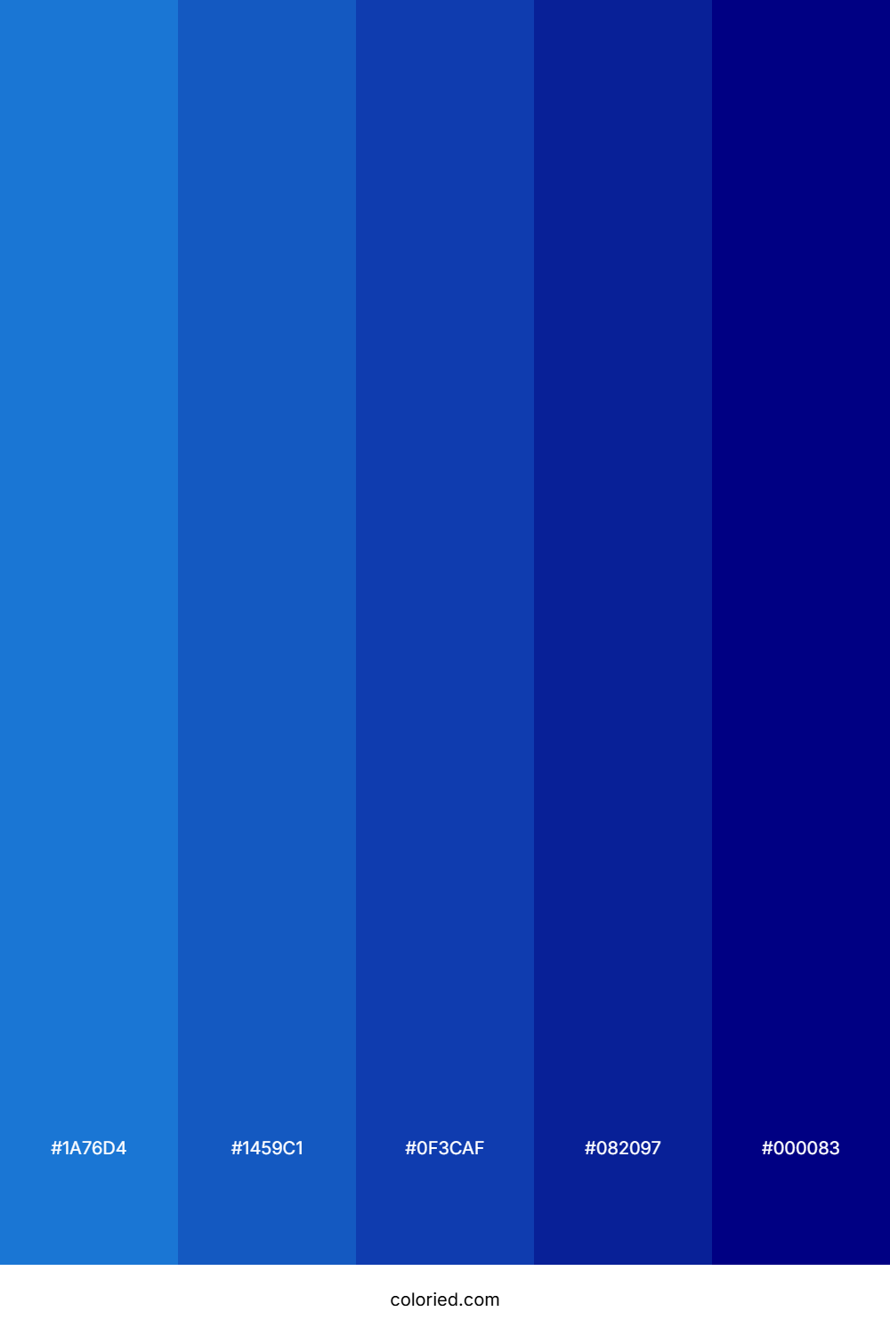 Bright Blue and Deep Blue Color Palette