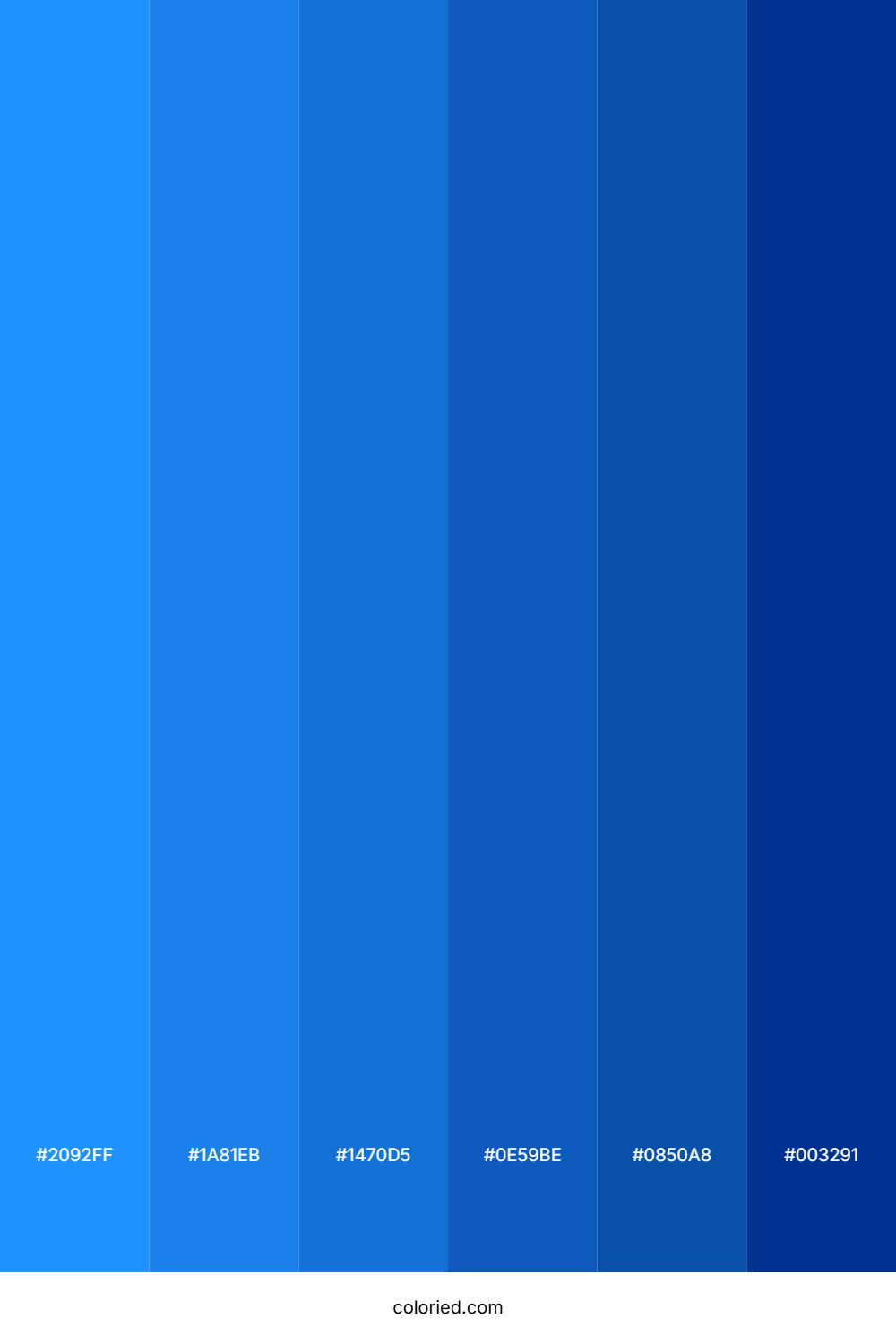 Bright Blue and Deep Navy Color Palette