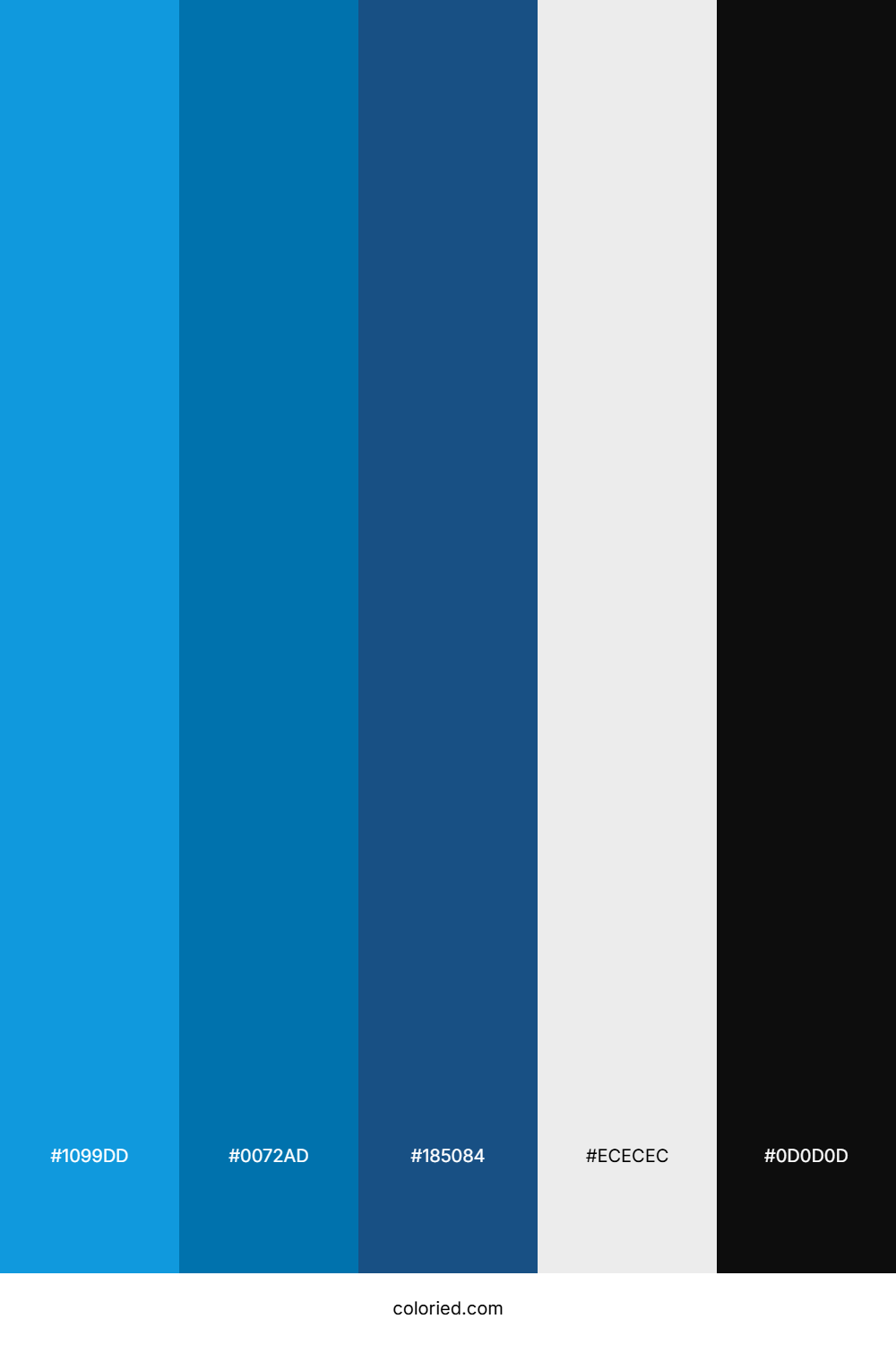 Bright Blue and Deep Teal Color Palette