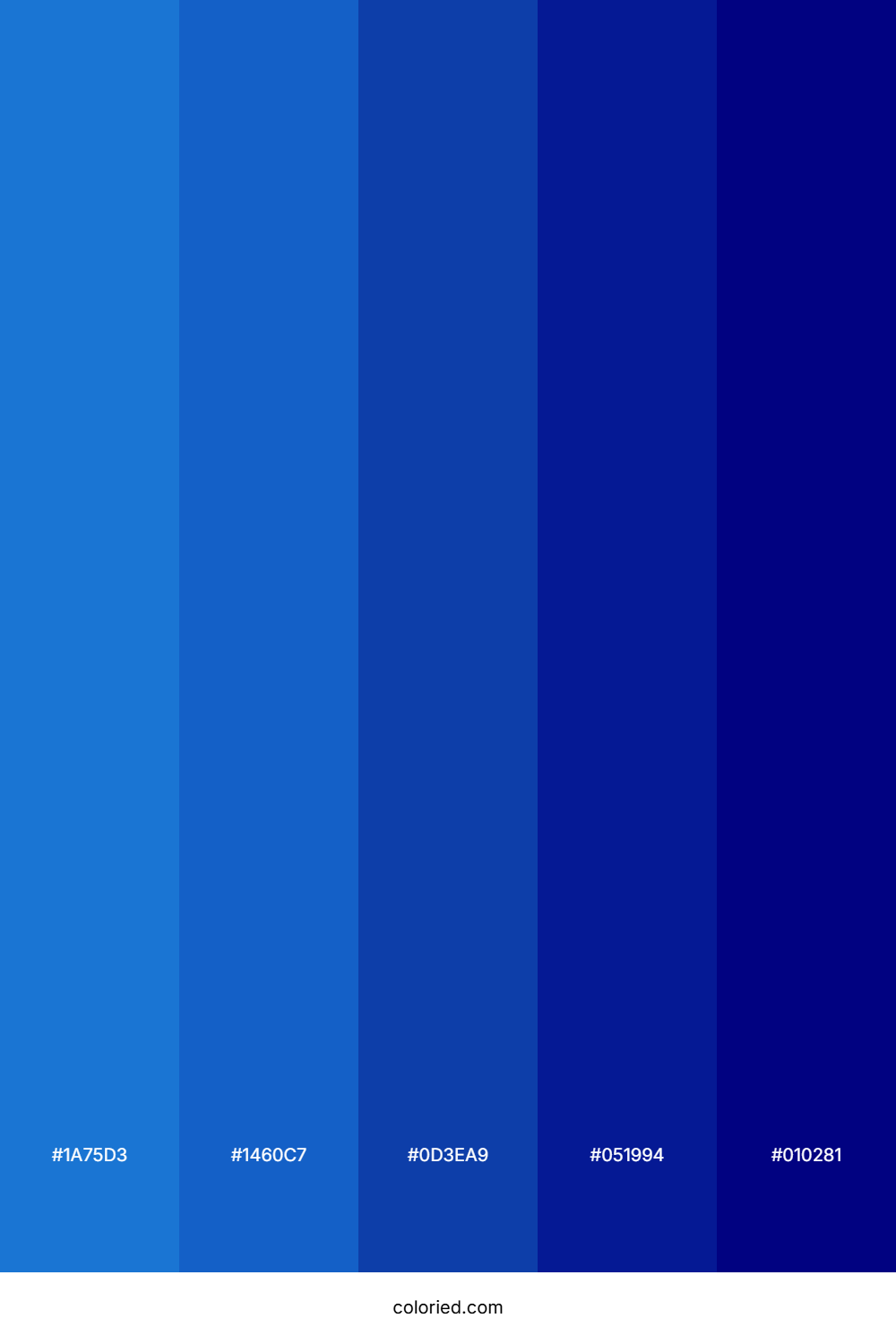 Bright Blue and Midnight Blue Color Palette
