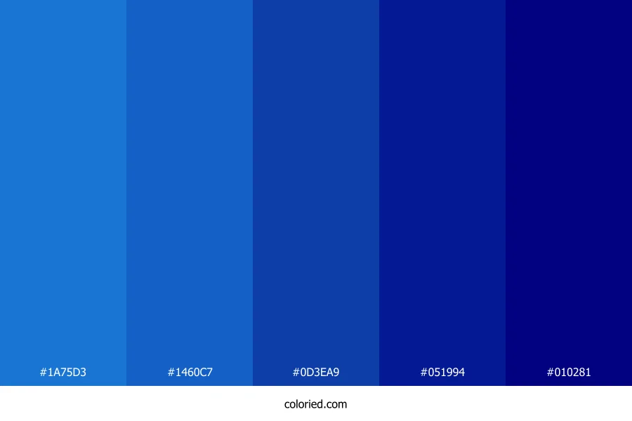 Bright Blue and Midnight Blue Color Palette