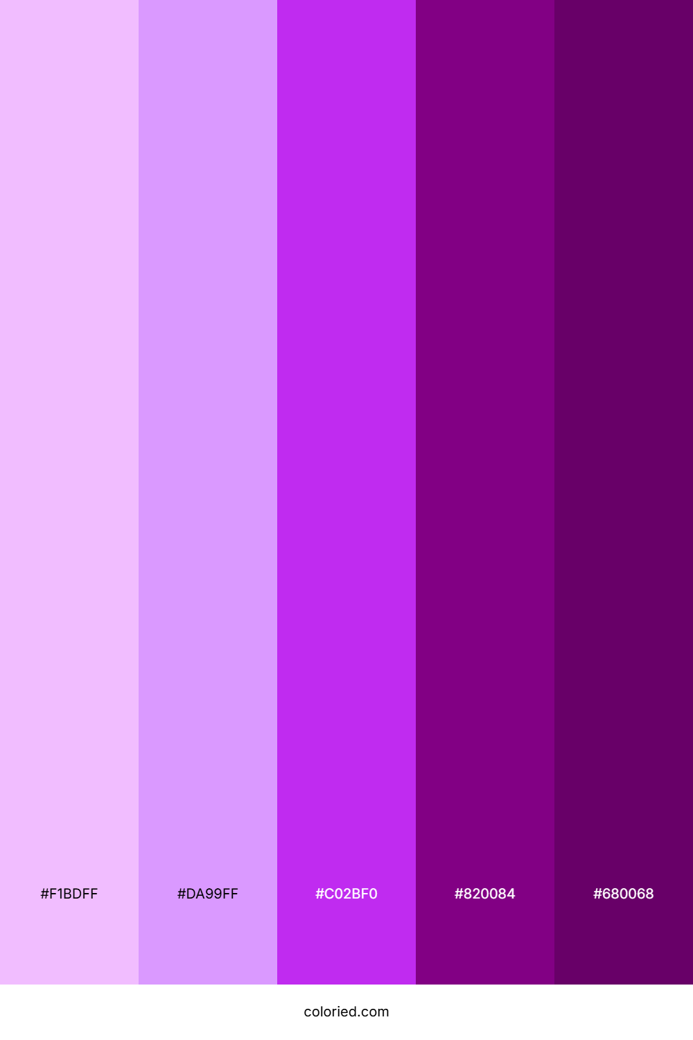 Bright Fuchsia and Deep Purple Color Palette