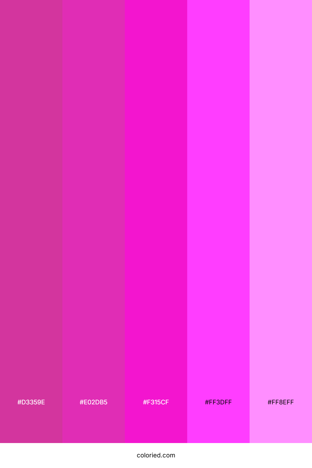 Bright Fuchsia and Soft Pink Color Palette