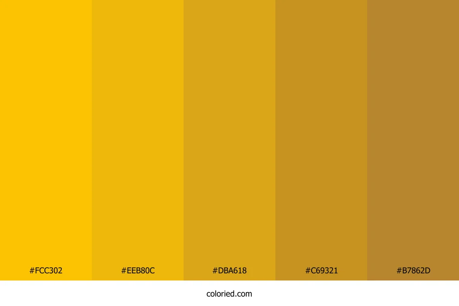 Bright Gold and Honey Yellow Color Palette