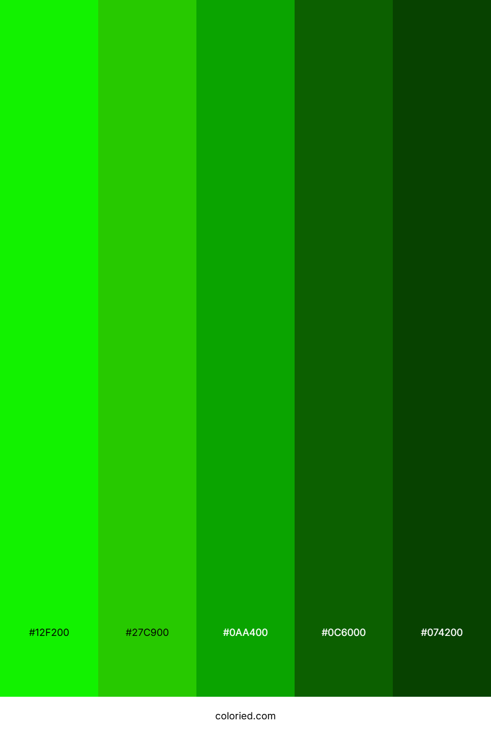 Bright Green and Dark Green Color Palette