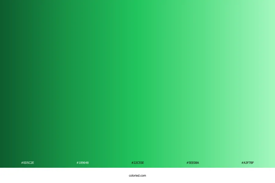 Bright Green Gradient