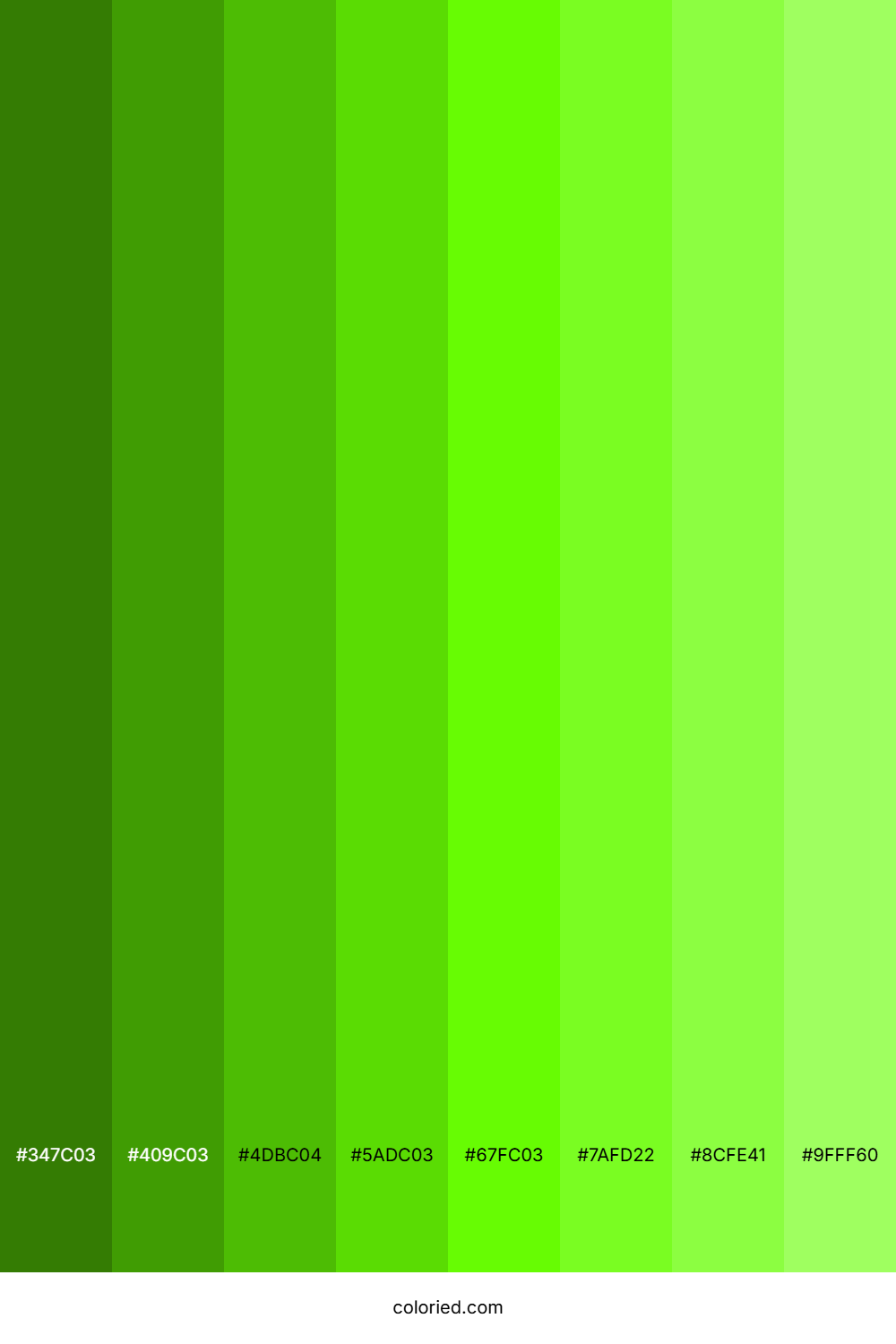 Bright Green Shades