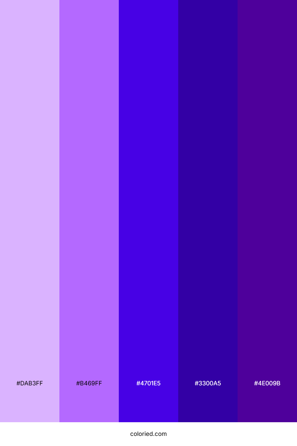 Bright Lavender and Royal Purple Color Palette