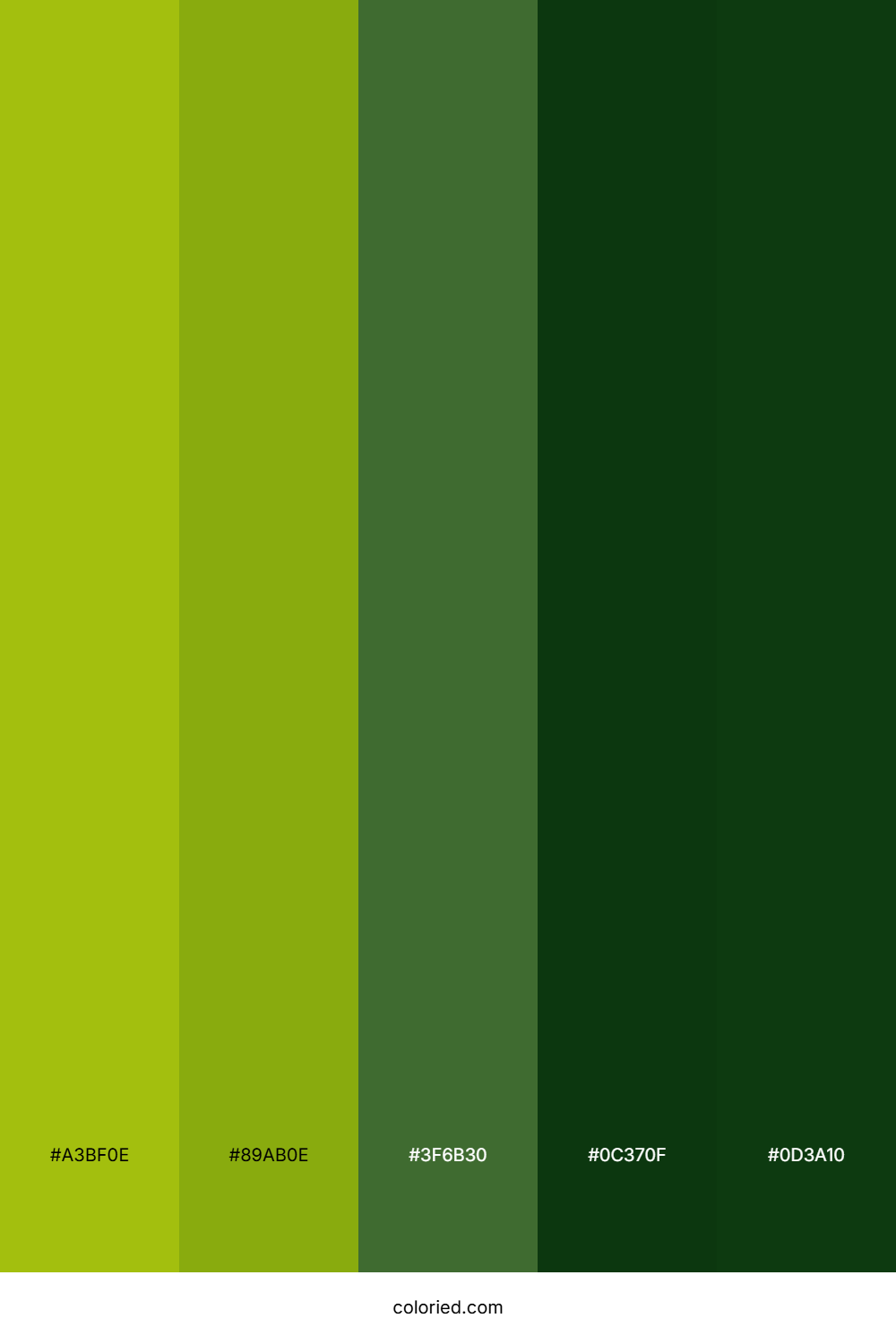Bright Lime and Dark Green Color Palette