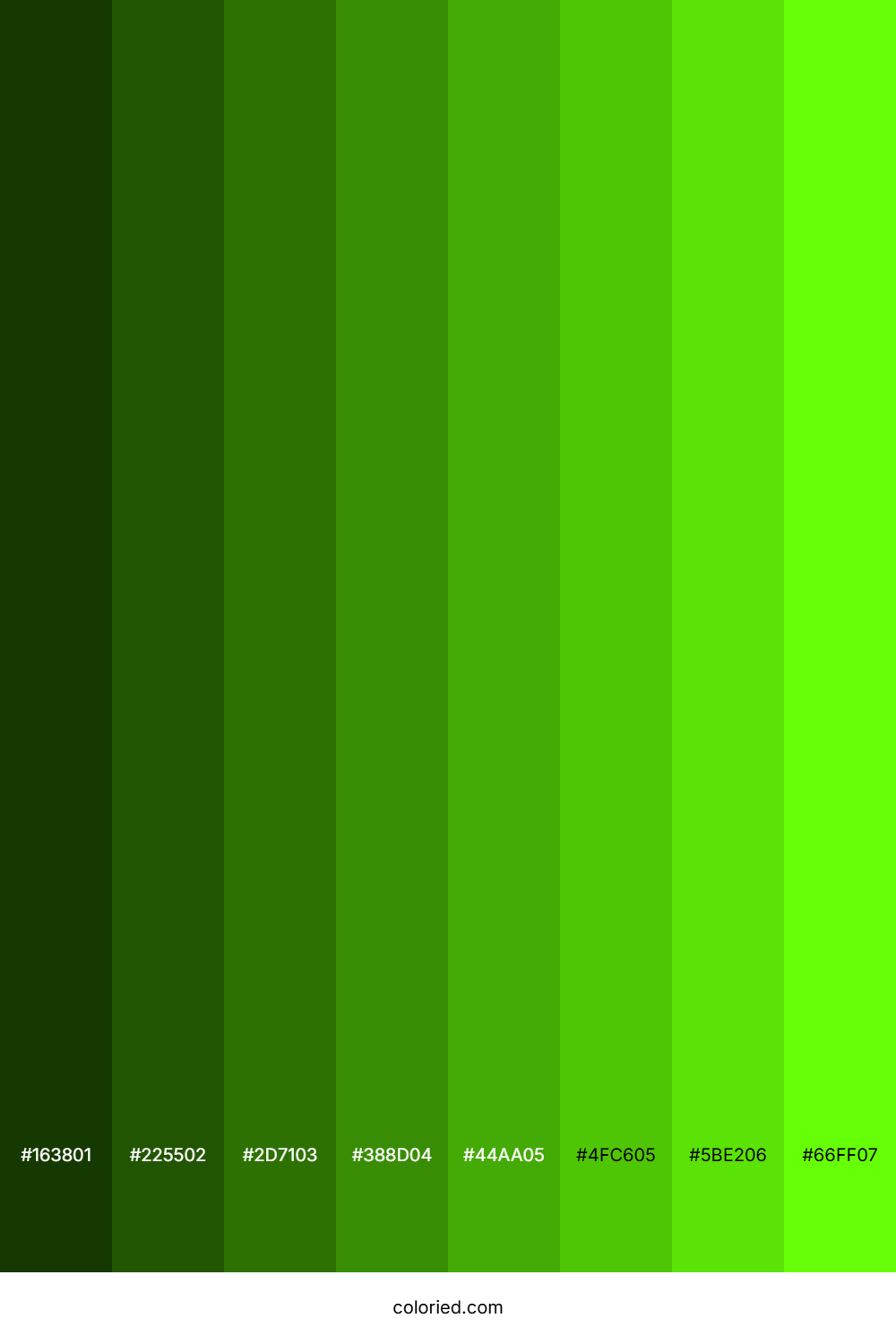 Bright Lime Green Color Shades