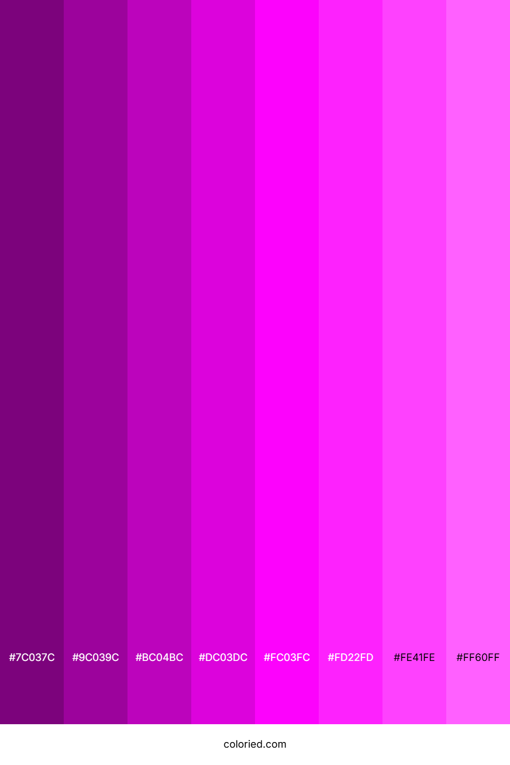Bright Magenta Shades