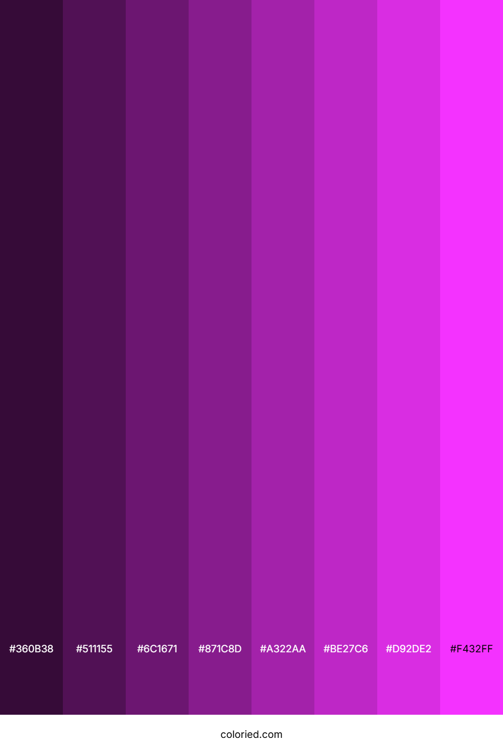 Bright Neon Pink Color Shades