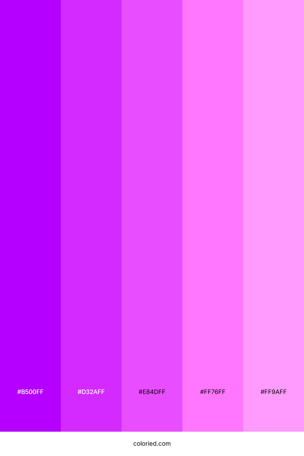 Bright Neon Purple Color Palette