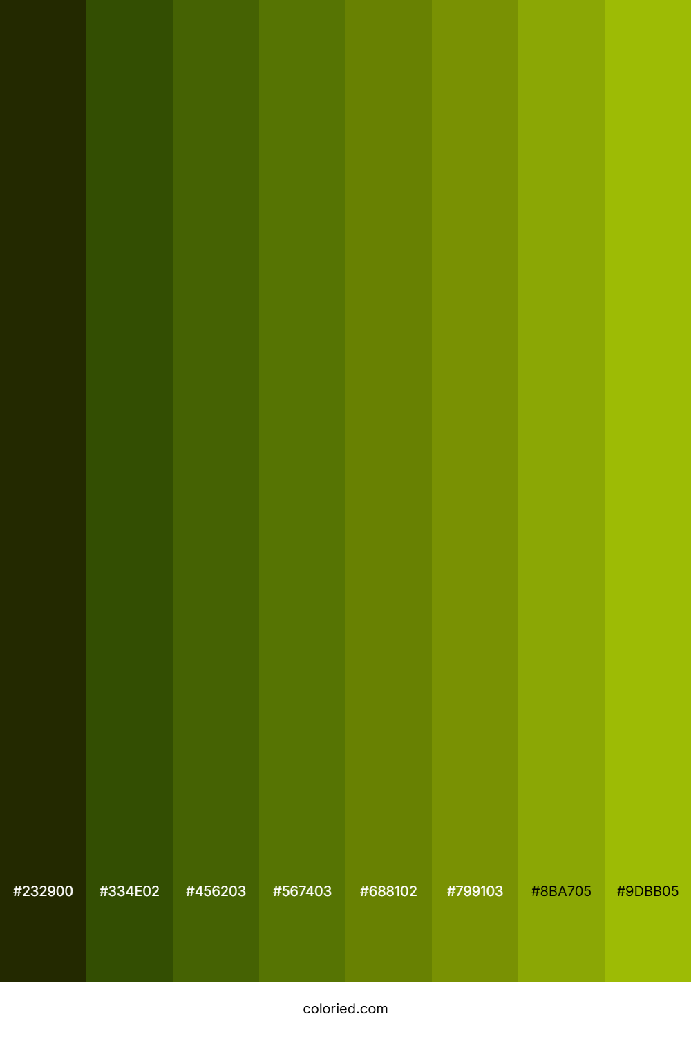 Bright Olive Color Shades