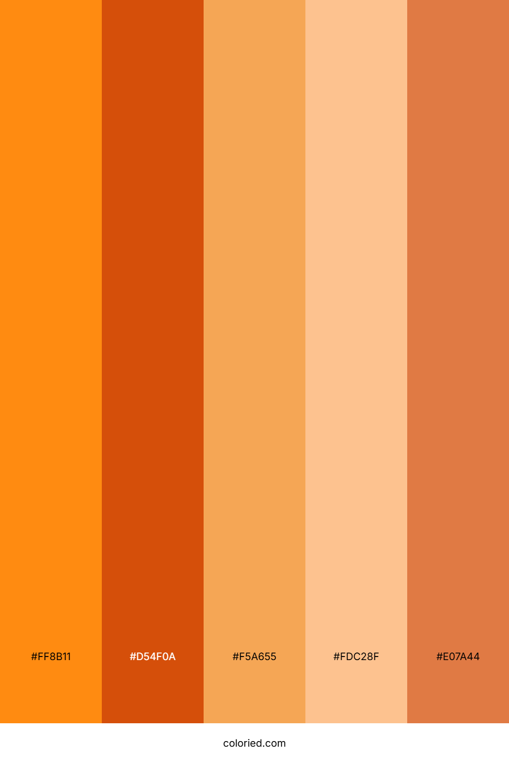 Bright Orange and Burnt Sienna Color Palette