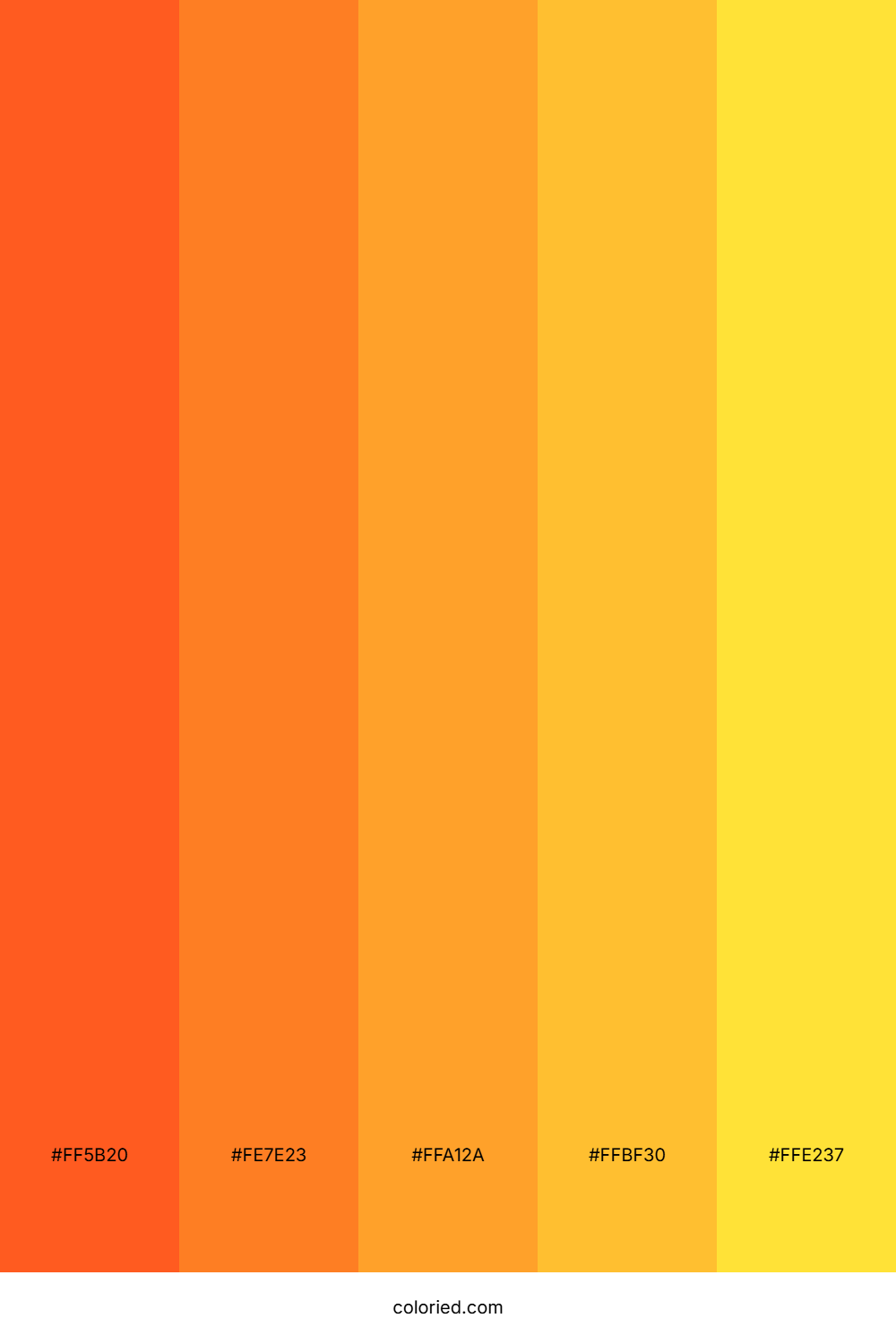 Bright Orange and Golden Yellow Color Palette